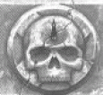 BloodAngelskull2.gif